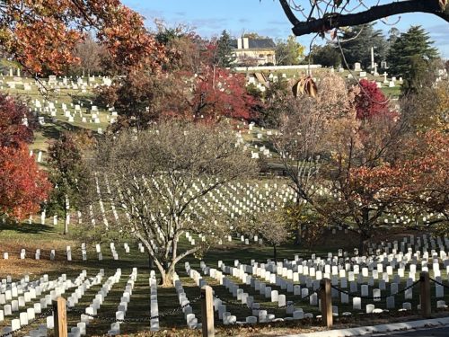 Detroit Lions @ Washington Commanders Arlington Cemetery (62)
