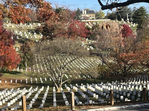 Detroit Lions @ Washington Commanders Arlington Cemetery (63)