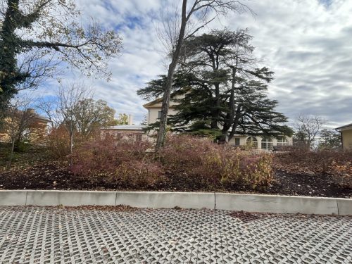 Detroit Lions @ Washington Commanders Arlington Cemetery (70)