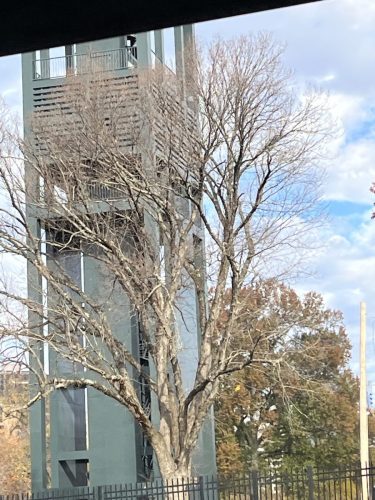 Detroit Lions @ Washington Commanders Arlington Cemetery (76)