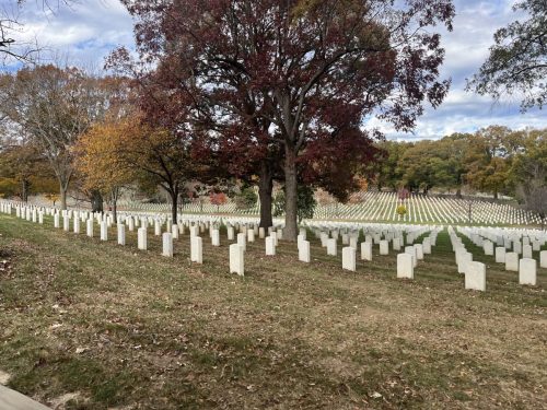 Detroit Lions @ Washington Commanders Arlington Cemetery (81)