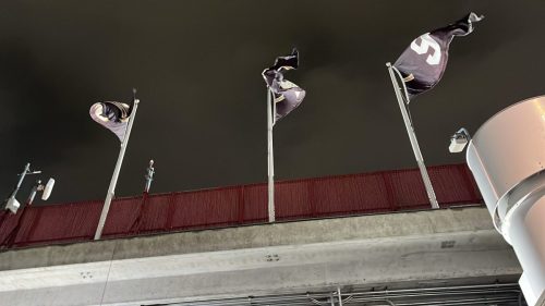 Detroit Lions @ Washington Commanders Game (19)