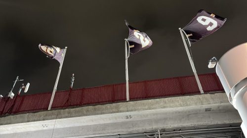 Detroit Lions @ Washington Commanders Game (20)