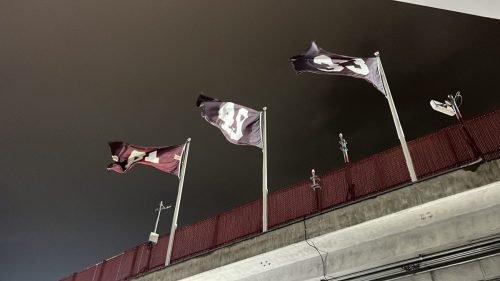 Detroit Lions @ Washington Commanders Game (27)