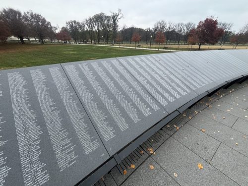 Detroit Lions @ Washington Commanders National Mall (12)