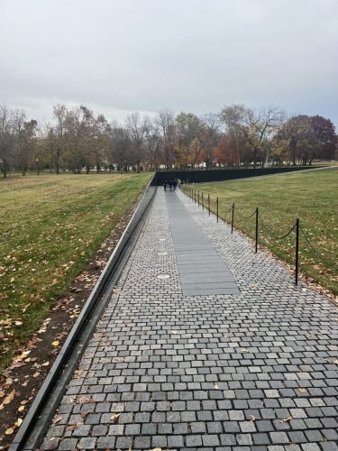 Detroit Lions @ Washington Commanders National Mall (37)