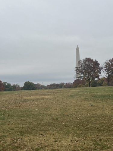 Detroit Lions @ Washington Commanders National Mall (41)